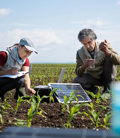 A man and woman in a crop field with a solar panel, the woman writing on a clipboard.