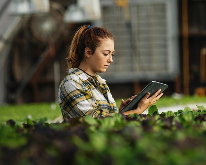 A woman outside wearing a button-up flannel shirt, holding and using a tablet behind a bush.