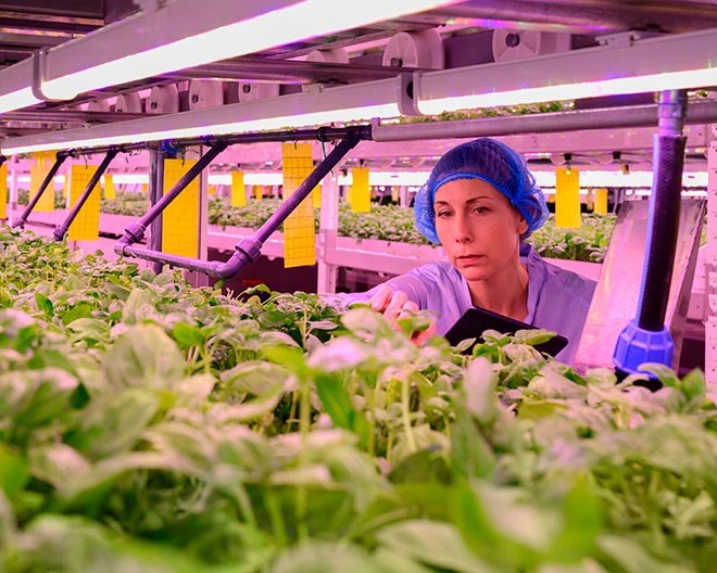 agrobiologist in lab