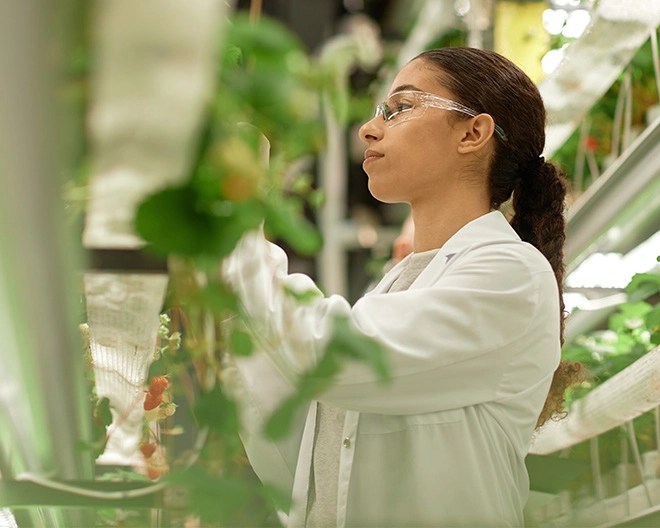Woman examining plants in a lab