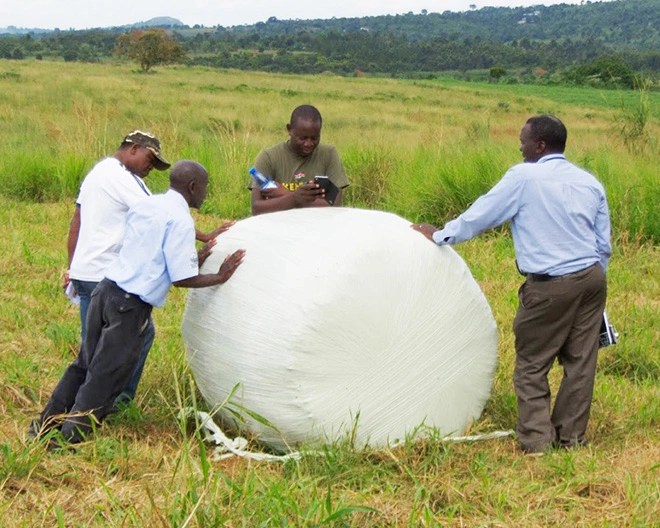 people working together in a field doing agriculture