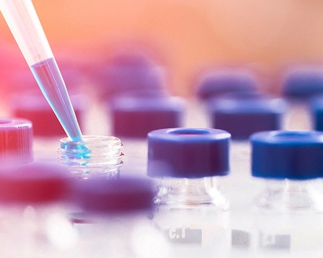 Close-up of a lab pipette dispensing blue liquid into small medical vials under warm light.