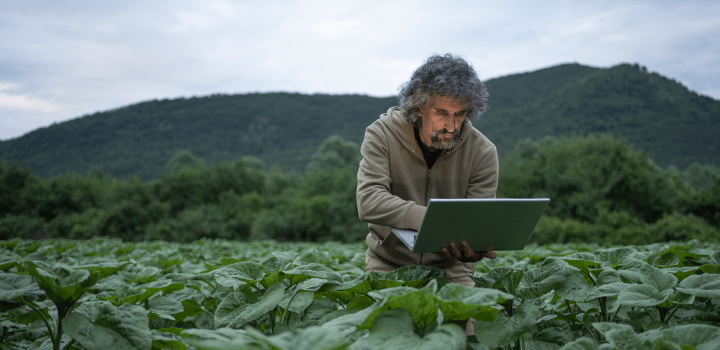 farmer in a field working on a laptop