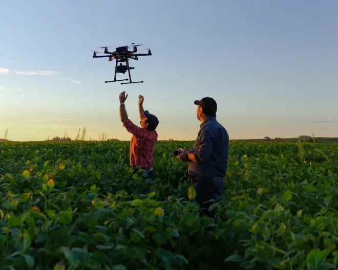 Two men operating a drone over crops in an agricultural field.