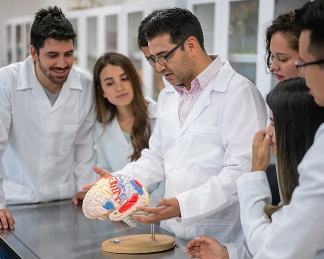 A group of neuroscience students in white lab coats gather around their professor, who is pointing to a 3D brain model during a lab demonstration.