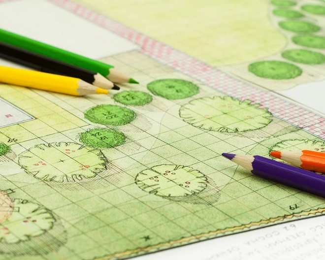Landscape design plan with colored pencils on top, showing labeled green spaces and trees.